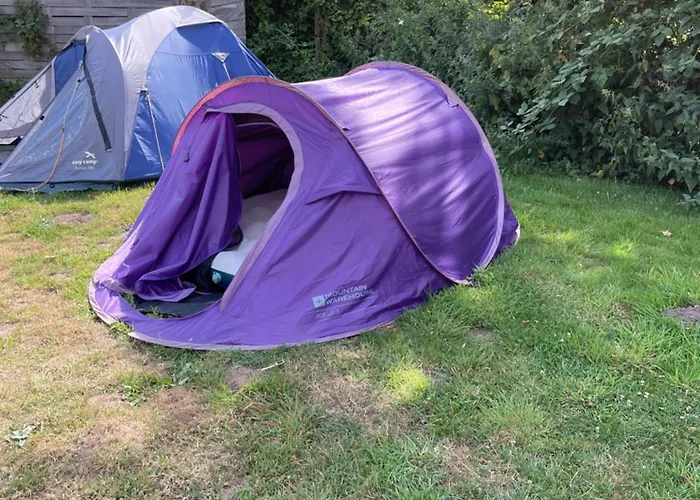 Tents @ Tomorrowland