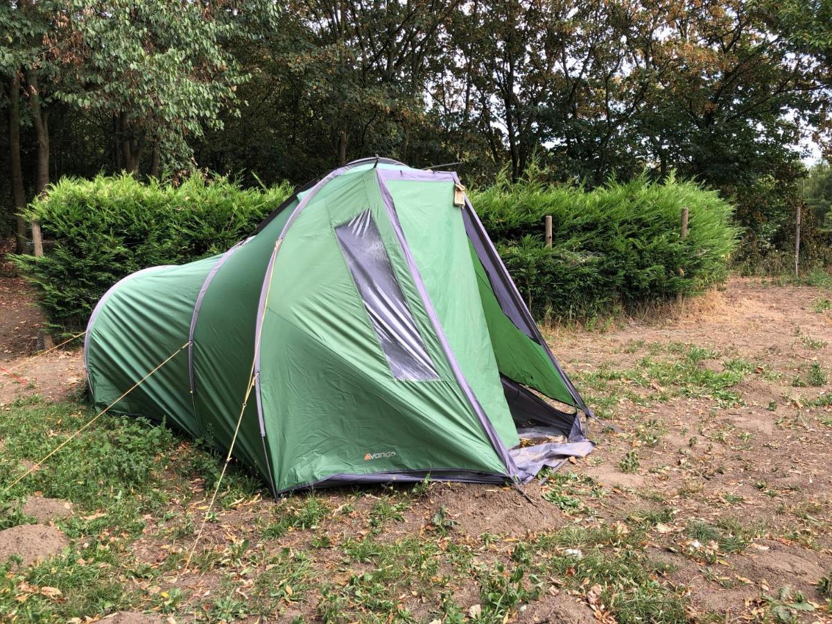 Tents @ Tomorrowland Rumst