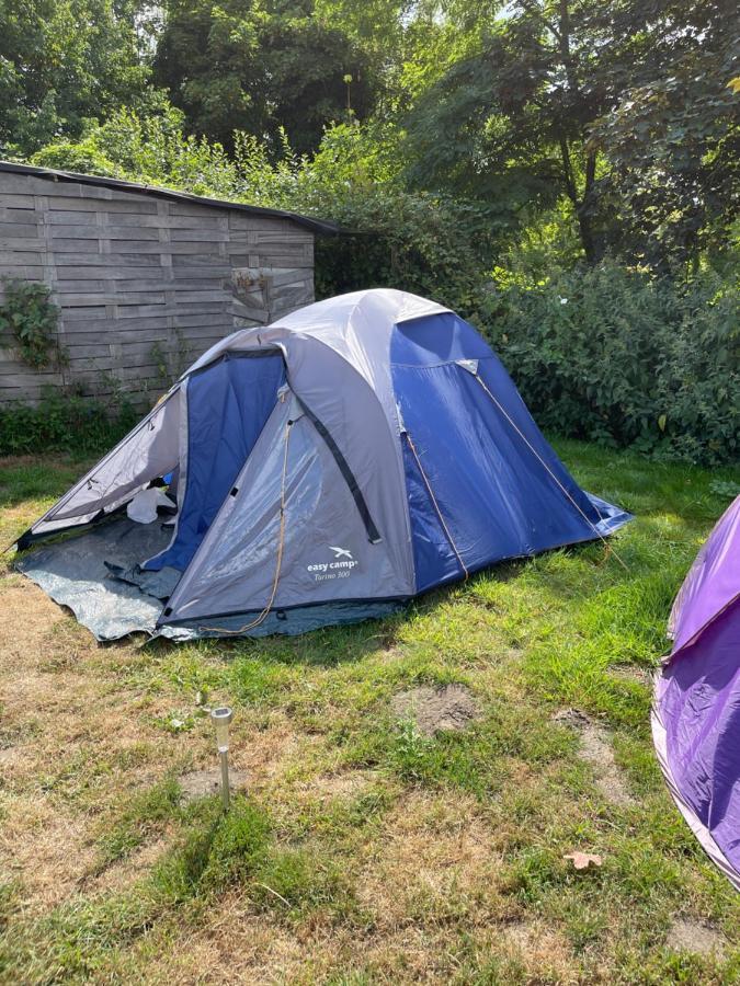 Tents @ Tomorrowland Rumst