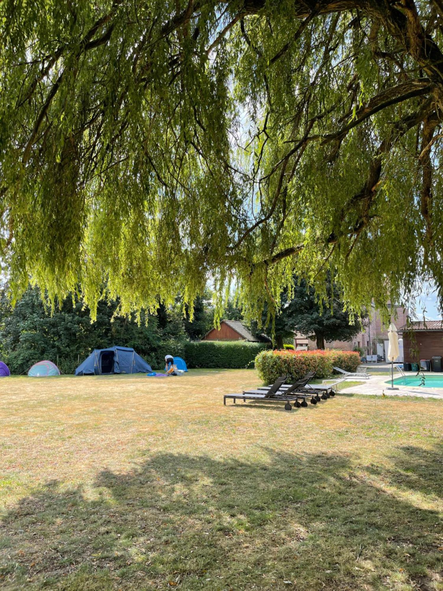 Tents @ Tomorrowland Camping *